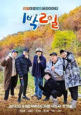 乘风破浪的姐姐4综艺封面